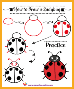 How to draw a ladybug