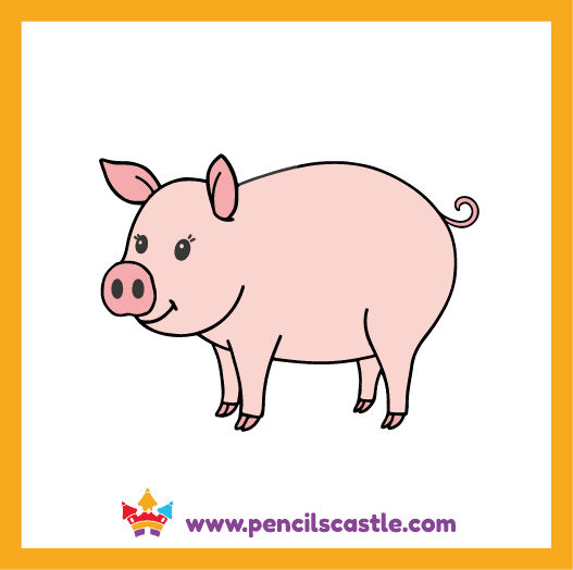 color the cute pig drawing