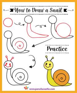 How to draw a snail