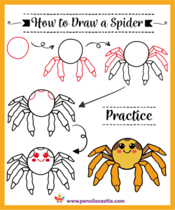 How to draw a spider