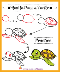 How to draw a turtle
