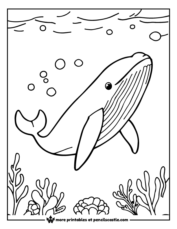 Humpback whale swimming underwater above sea plants coloring sheet