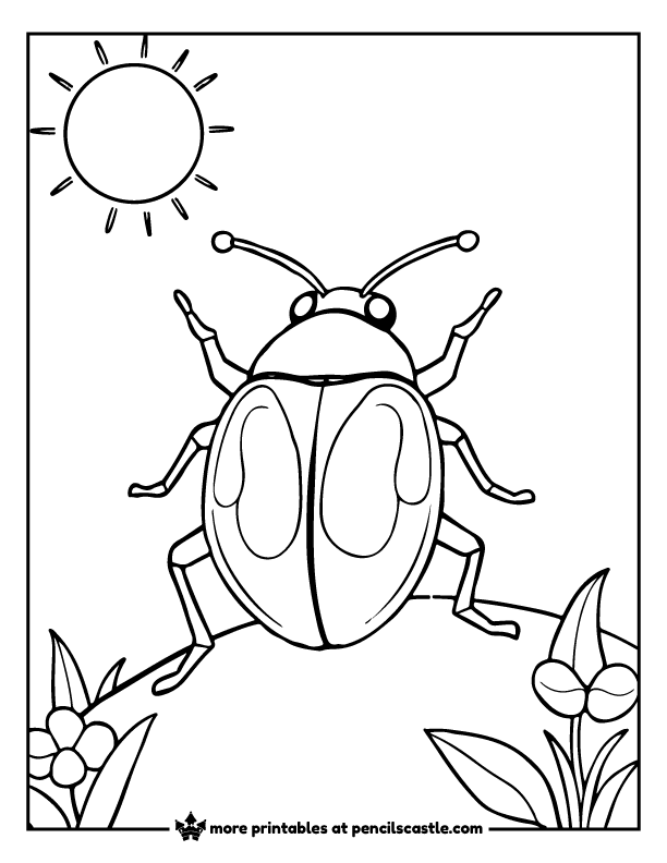 jewel beetle under the sun coloring sheet