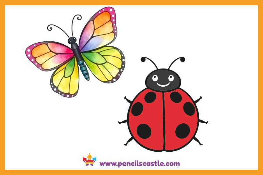 Ladybug drawing near a colorful butterfly buddy
