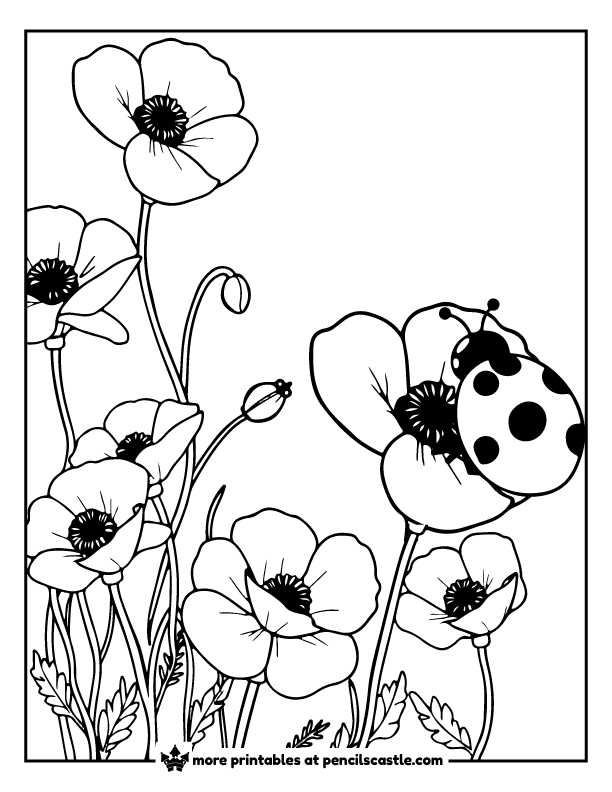 Ladybug exploring poppy flowers coloring page