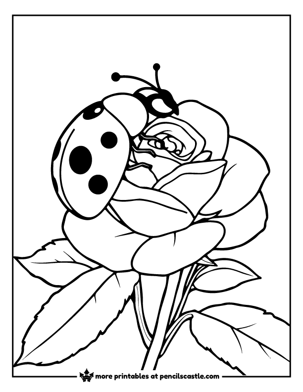 Ladybug sitting on a blooming rose coloring page