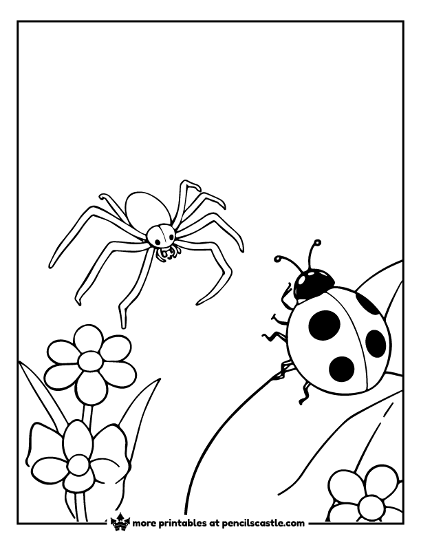 Ladybug crawling on a leaf near a spider in the garden coloring sheet