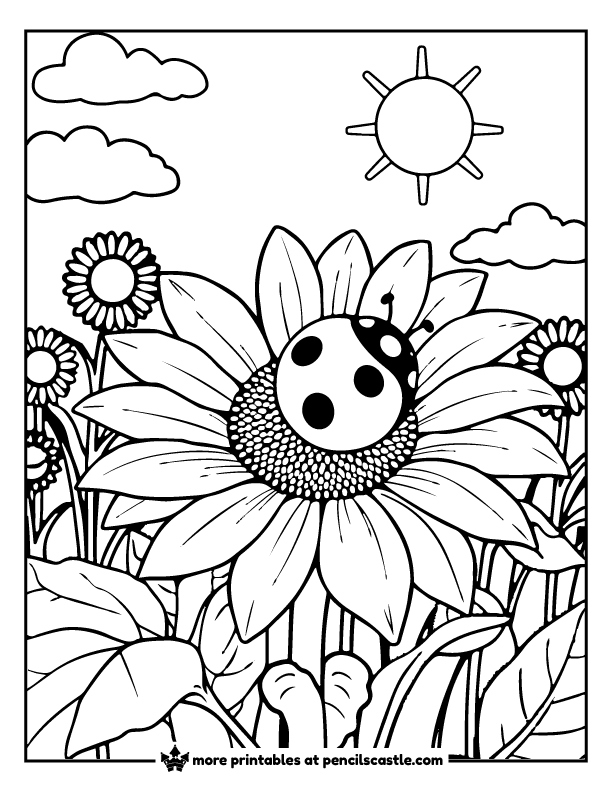 Ladybug sitting in a sunflower with big petals coloring page