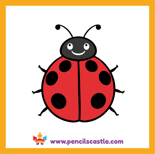 Color your cute ladybug drawing