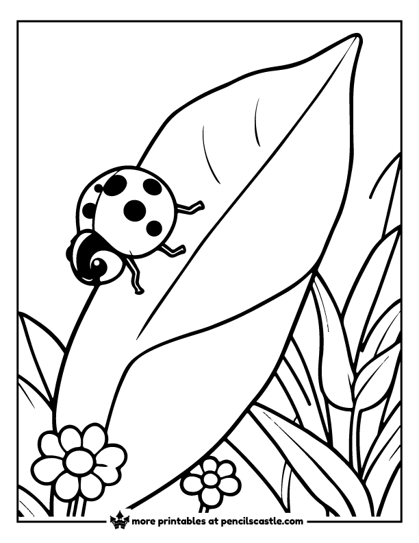 ladybug crawling across a garden leaf coloring page