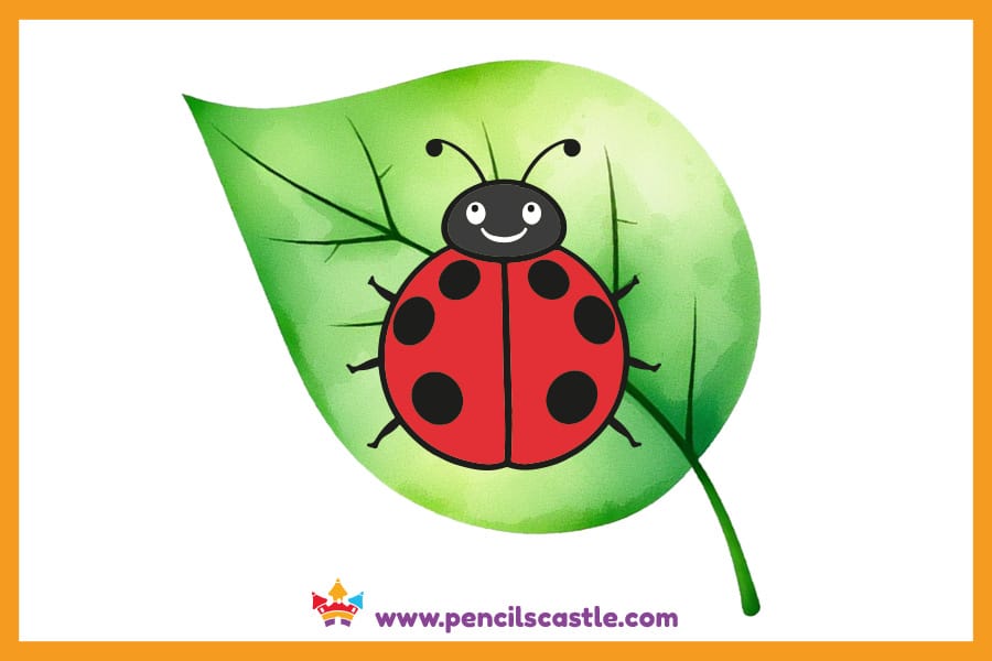 Ladybug drawing on a green leaf