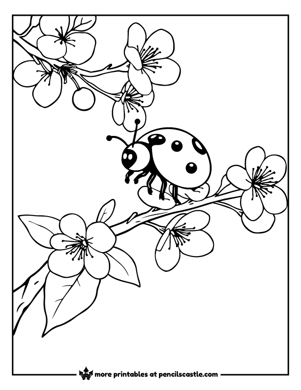 Ladybug sitting on a cherry blossom branch coloring sheet