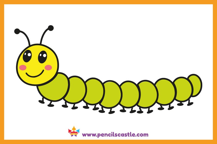 Long caterpillar drawing