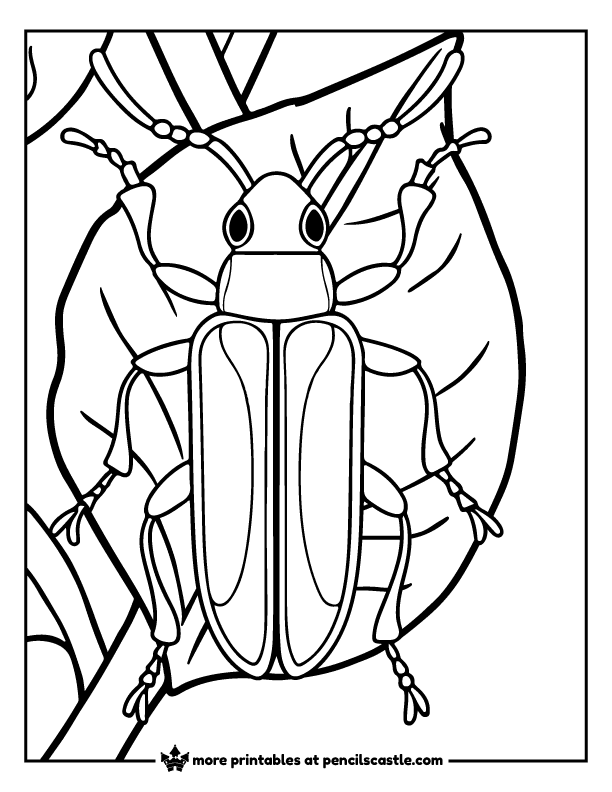 longhorn beetle on a leaf coloring page
