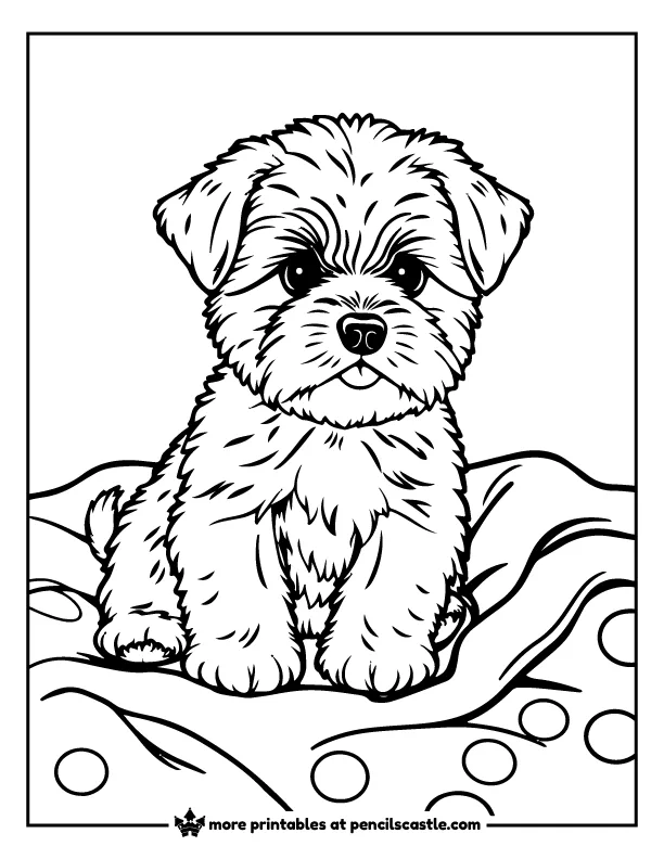 Maltese puppy sitting on a blanket coloring sheet