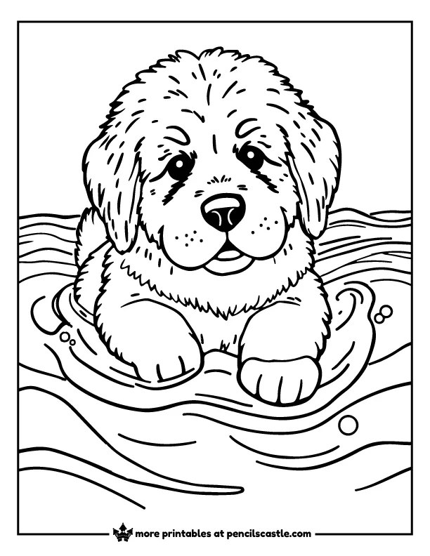 Newfoundland puppy swimming in the ocean coloring sheet