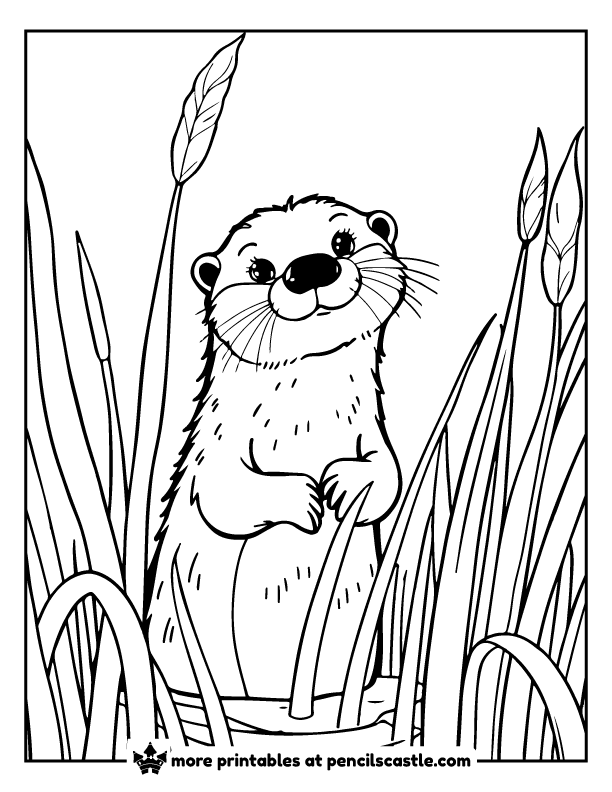 Curious otter poking its head through tall river reeds coloring sheet