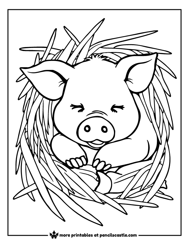 pig sleeping in a bed of straw coloring page