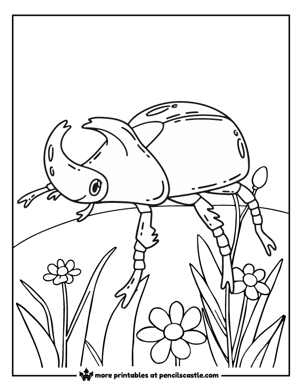 rhinoceros beetle crawling near flowers coloring sheet
