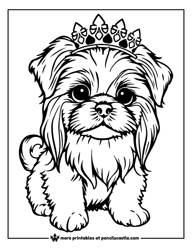Shih Tzu puppy wearing a crown coloring sheet