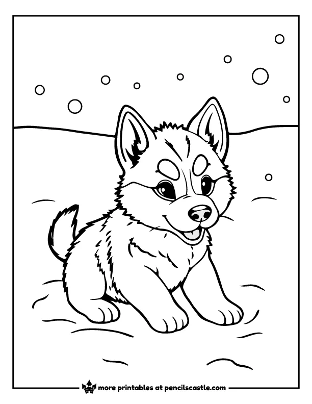 Siberian Husky puppy playing in snow coloring sheet