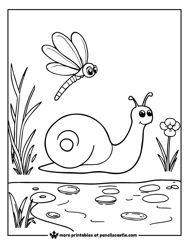 Snail meeting a cute dragonfly near a pond coloring sheet