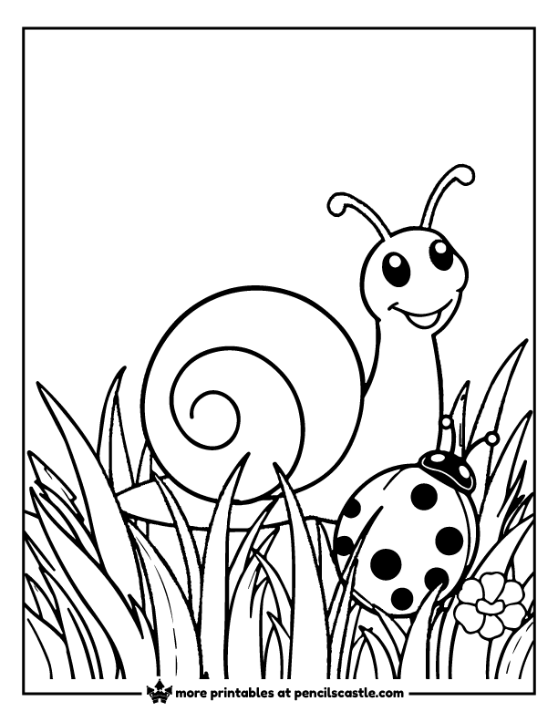 snail meeting a ladybug friend in the grass coloring page
