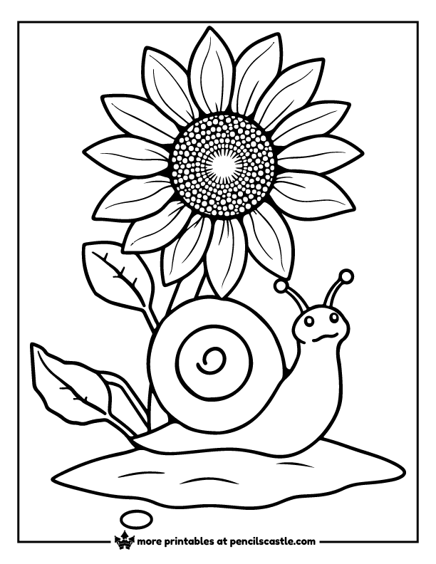 Snail resting beneath a sunflower coloring page