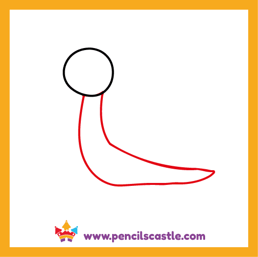 Draw the snail's body outline