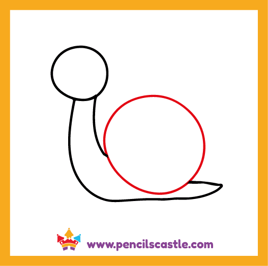 Draw the snail's shell