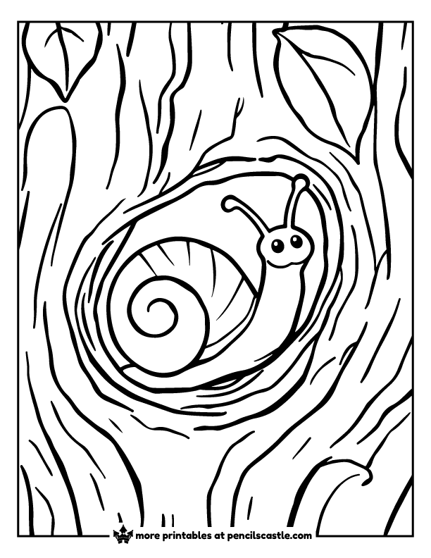 Snail resting in a tree hole surrounded by tree bark coloring page