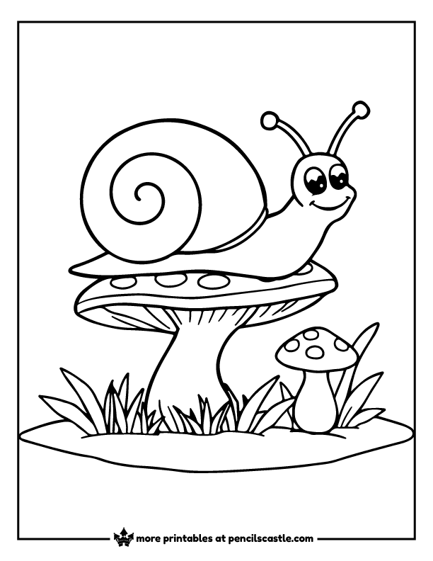 Snail crawling on a mushroom coloring page