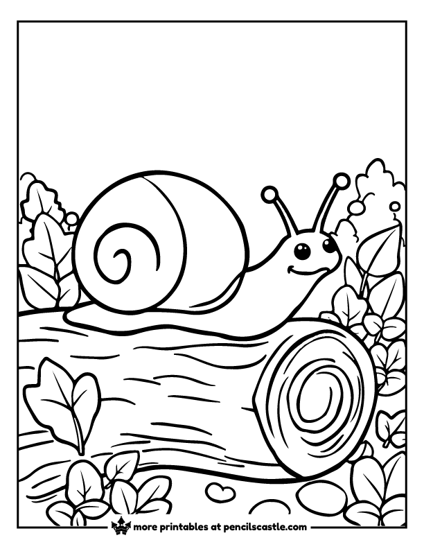 Snail exploring a tree log in the woods coloring sheet