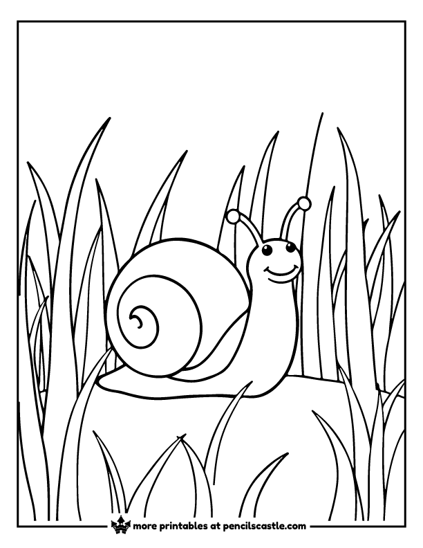 Snail peeking through blades of grass coloring sheet