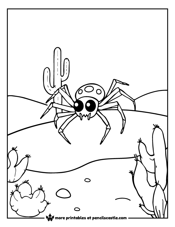 spider in a desert next to cactus coloring sheet