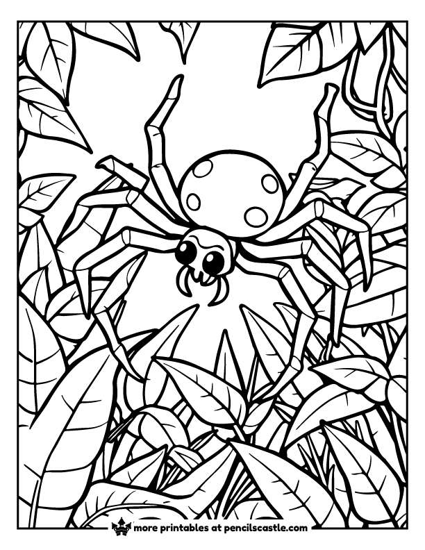 spider hides in lush jungle vines coloring page