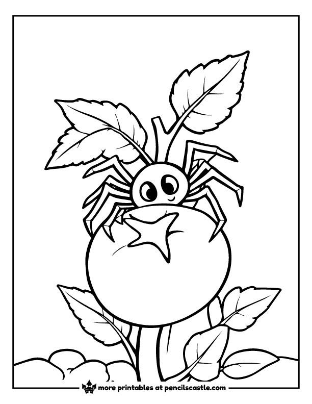 spider peeks out from behind a tomato plant coloring sheet