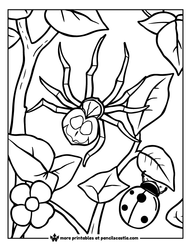 spider climbing a vine with a ladybug coloring sheet