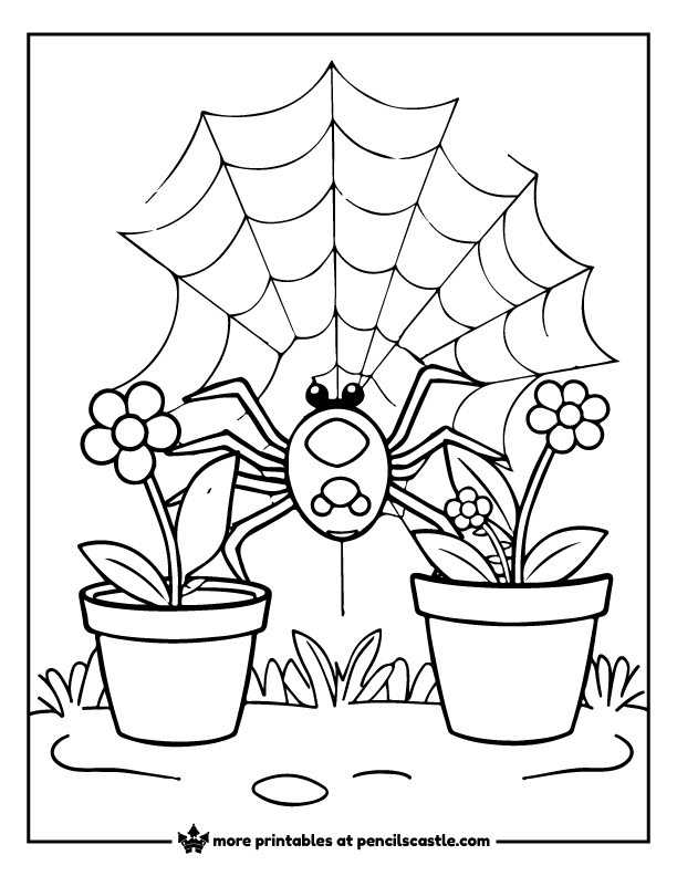 spider spins a web between two flower pots coloring page