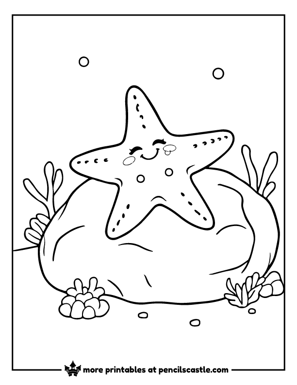 Happy, Cute sea star resting on an underwater stone coloring page