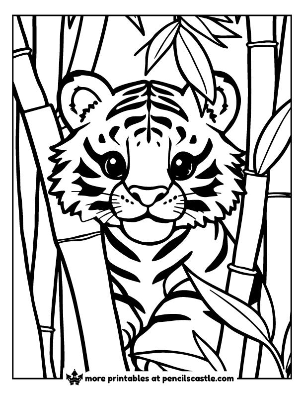 Tiger peaking out from behind green bamboo in the jungle coloring page
