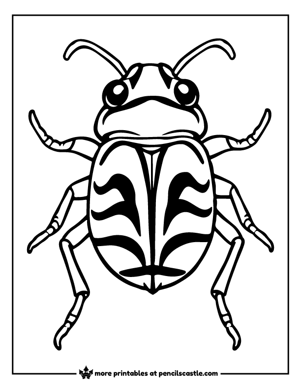 tiger beetle with black stripes on its back coloring page