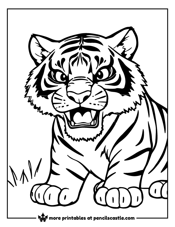 Fierce tiger growling coloring sheet