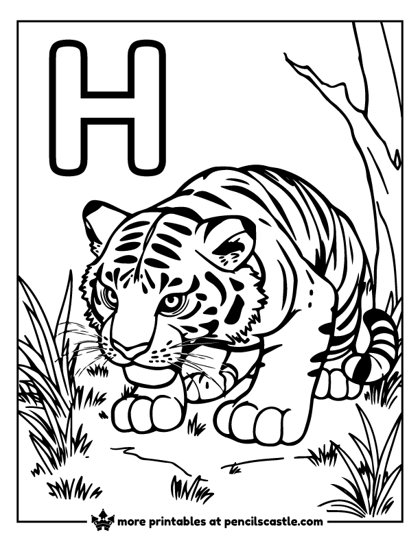 Tiger crouching low, ready to spring, with the letter 'H' coloring sheet