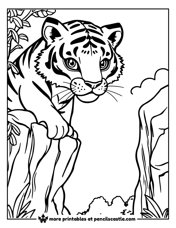 tiger on a cliff surveying its territory coloring sheet