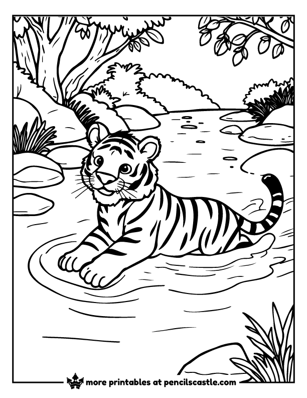 Powerful tiger paddling through the water coloring page