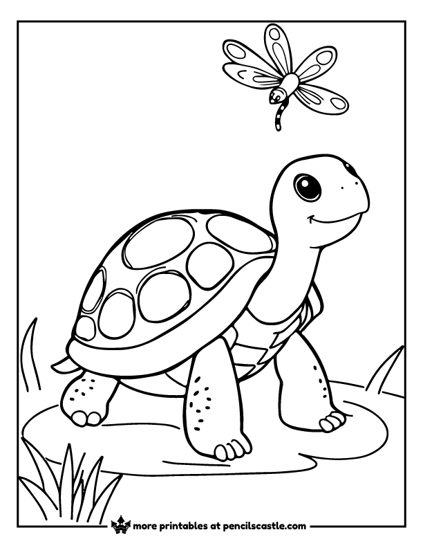 Turtle smiling while a dragonfly hovers above coloring sheet