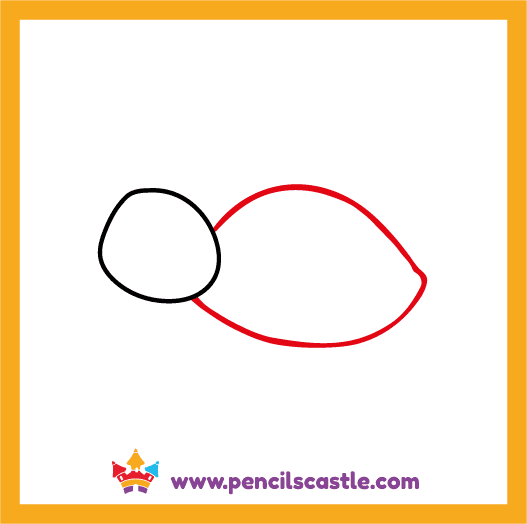 Add the turtle's shell 