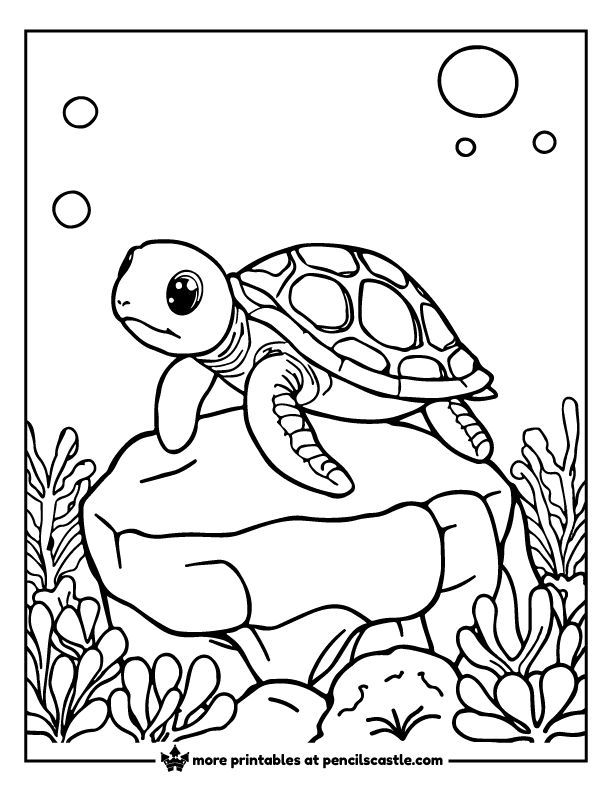 Cute sea turtle sitting on a coral rock in the ocean coloring sheet