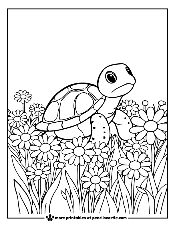 Turtle sitting among a patch of blooming daisies coloring page
